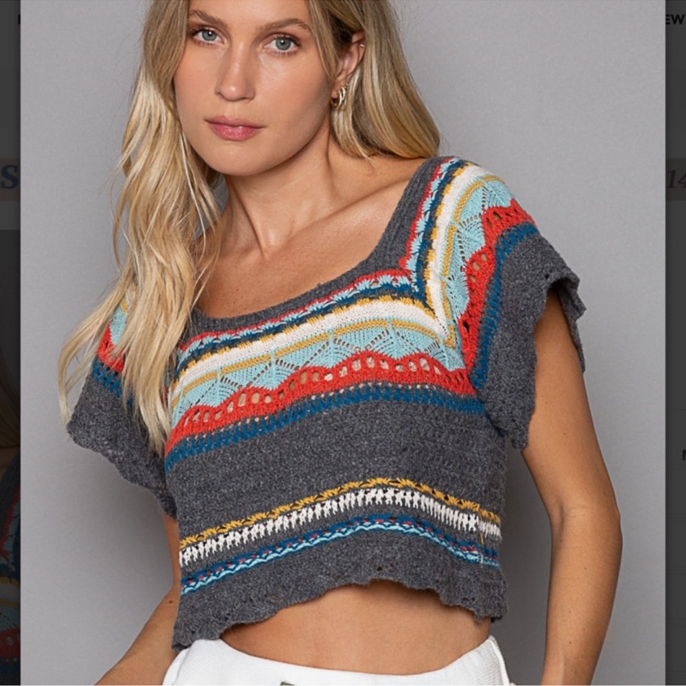 38B - POL Hand Knit Gray and Multicolor Knit Crop Sweater
